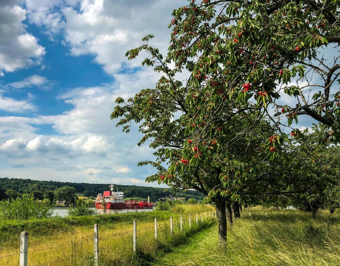 Maison Normande Au Bord De Seine, Le Verger De Pacome Anneville-Ambourville Esterno foto