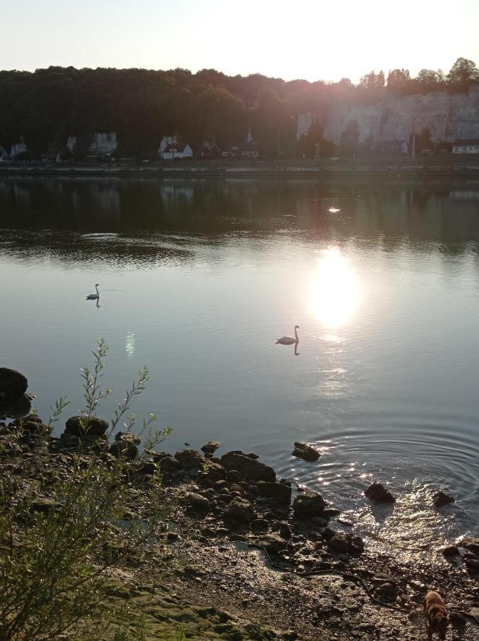 Maison Normande Au Bord De Seine, Le Verger De Pacome Anneville-Ambourville Esterno foto